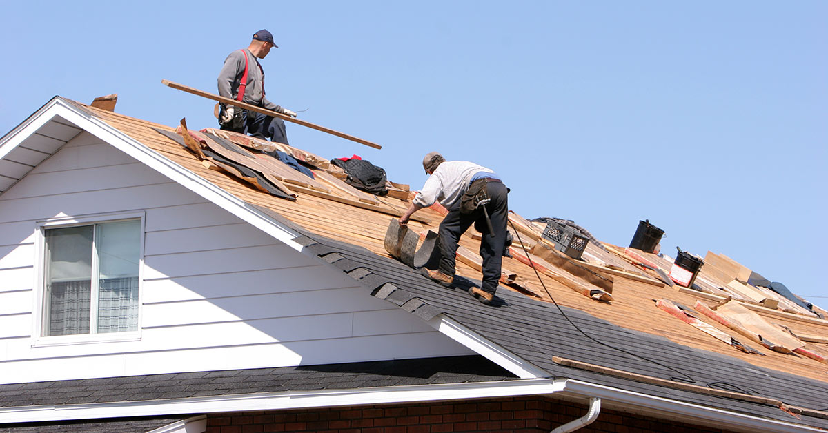 Roof Coating