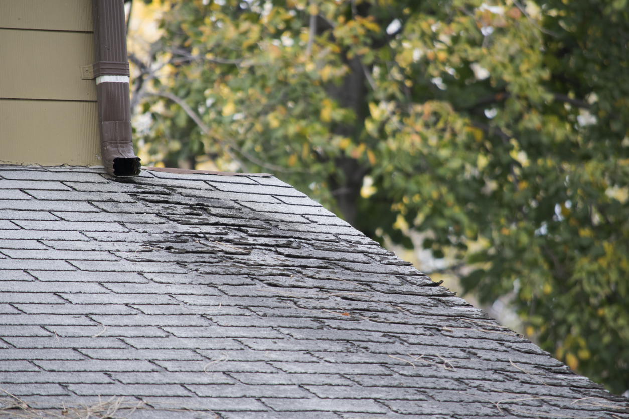 Roof Replacement